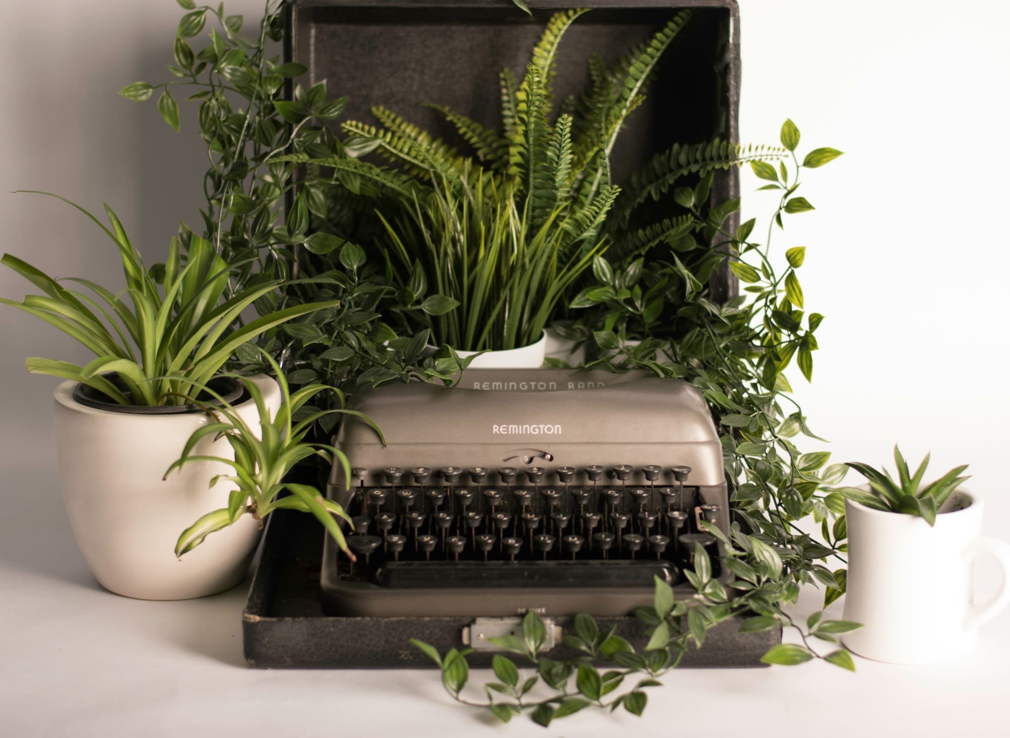 How to write and communicate your sustainability report