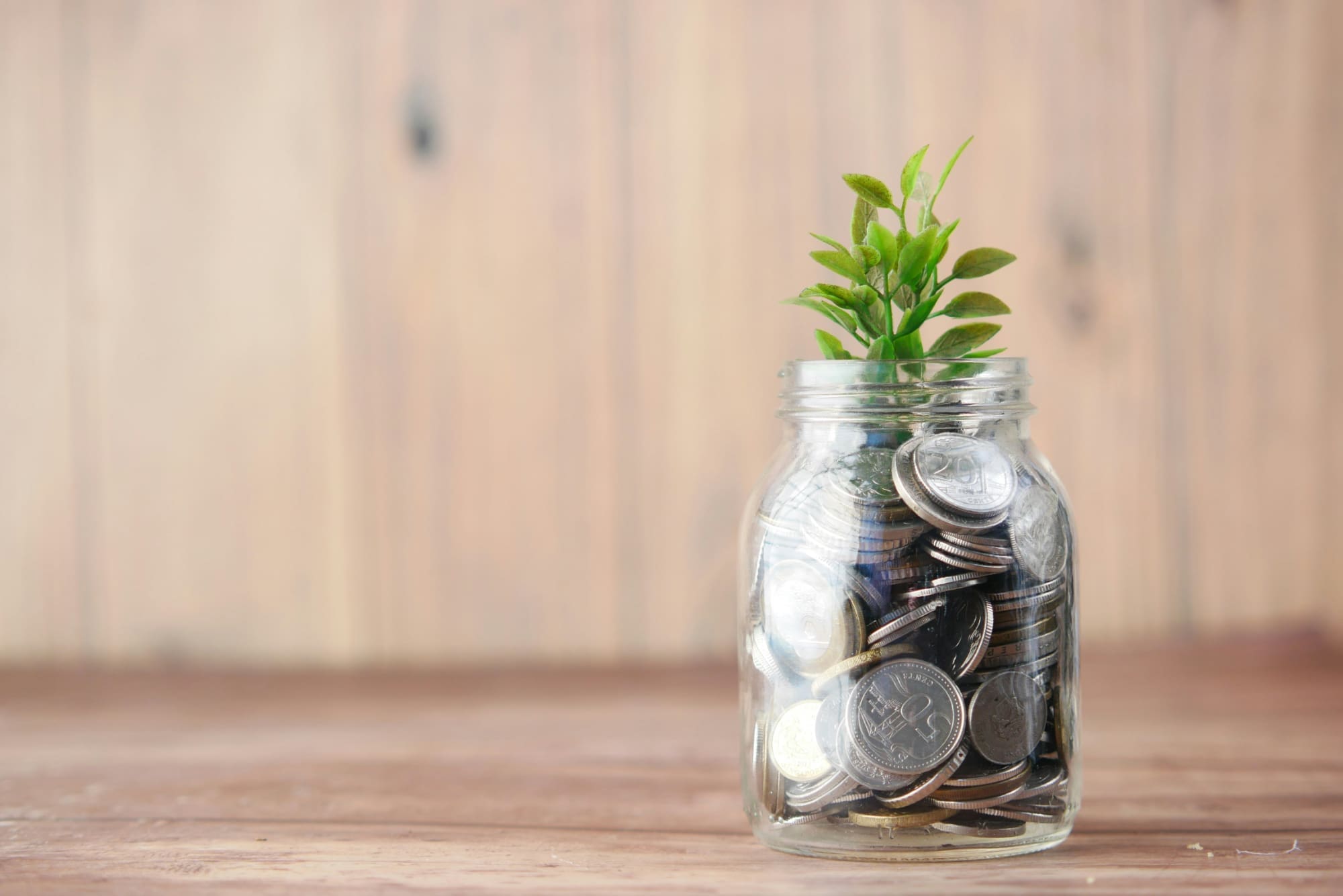 Business Thrive Glass jar full of silver coins with green plant growing out of the top.